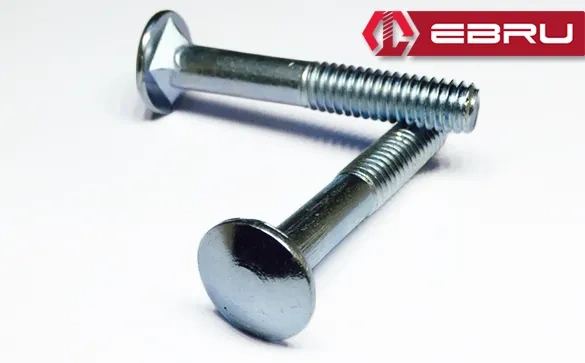 mdn-tk0014k-ebru-1578a_kasa-civata-1-4x80-20-adet-1-28461676-sw585sh363-19j6oigf Kasa Civata 1/4x80 - 20 Adet - Görsel 1