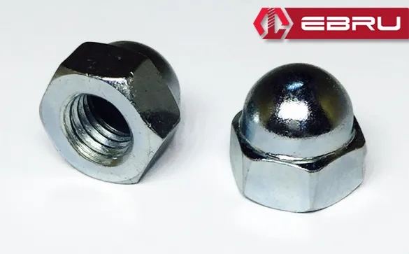 mdn-tk0014k-ebru-694a_altikose-kor-somun-m10-10-adet-1-49468015-sw585sh363-3unyue7h Altıköşe Kör Somun M10 - 10 Adet - Görsel 1