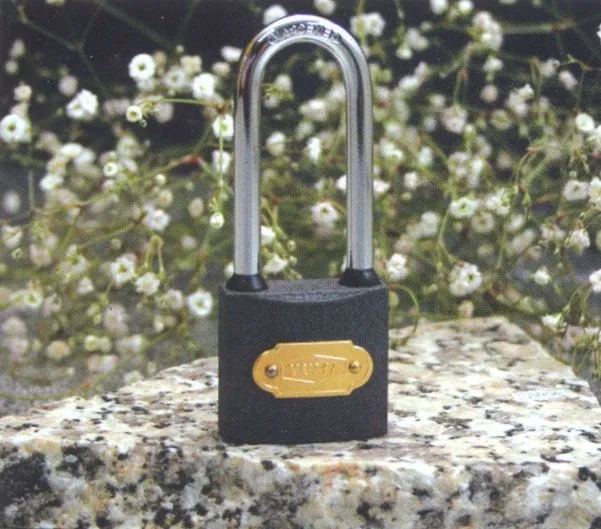 mdn-tk0014k-ym-1050l_gri-dokum-uzun-kancali-asma-kilit-50mm-1-52226345-sw601sh529-2mjywb4w Gri Döküm Uzun Kancalı Asma Kilit 50mm - Görsel 1